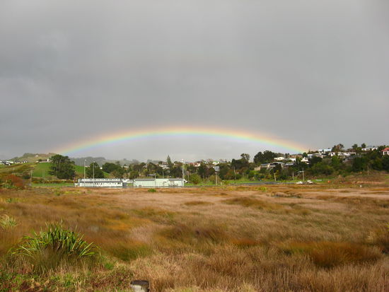 wir haben das Gold leider nicht gefunden