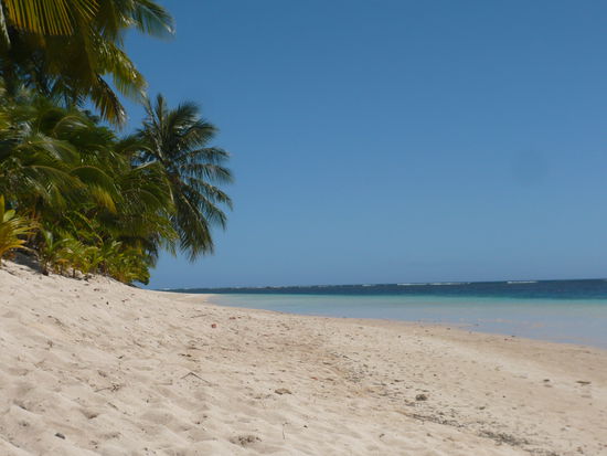 Strand, Palmen, Meer und wir waren fast alleine dort...