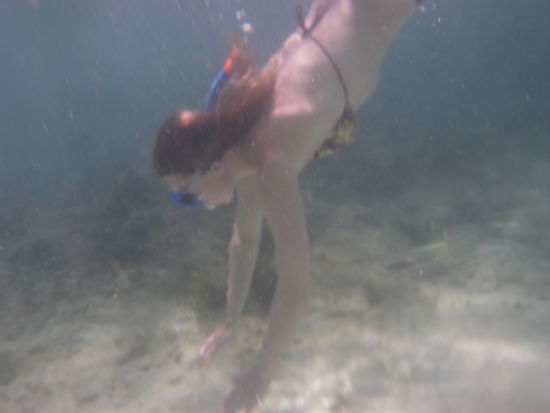 schnorcheln macht spassssssss !!!!!!!