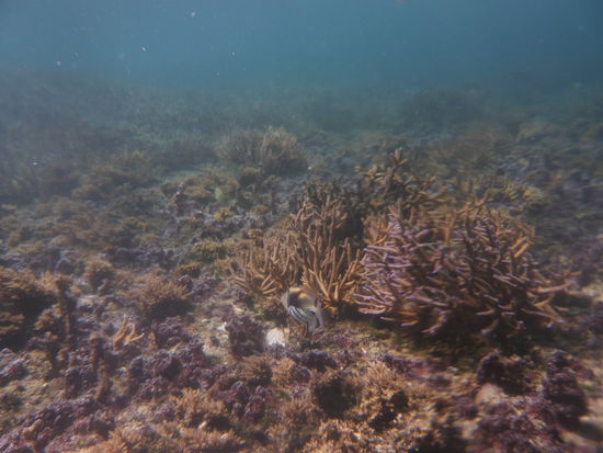 Fisch gesichtet!!!!!!!