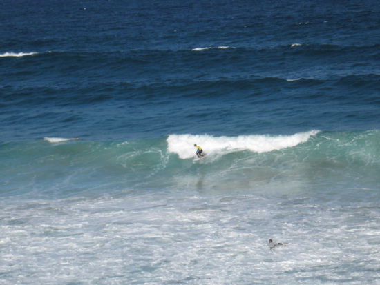 surfender Christian am Bondi-Beach,
coole Sau ne