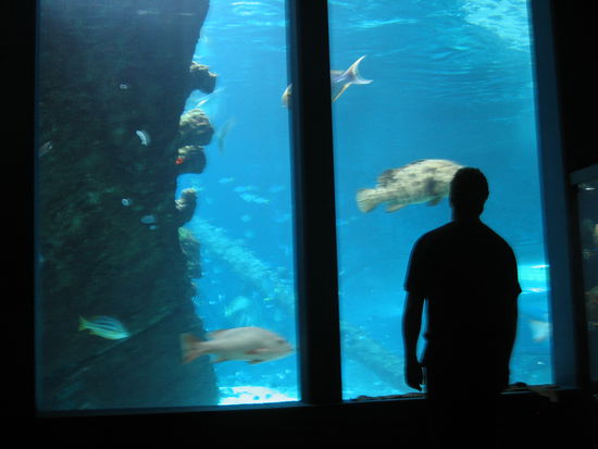 ...wer bestaunt hier wen!?!?