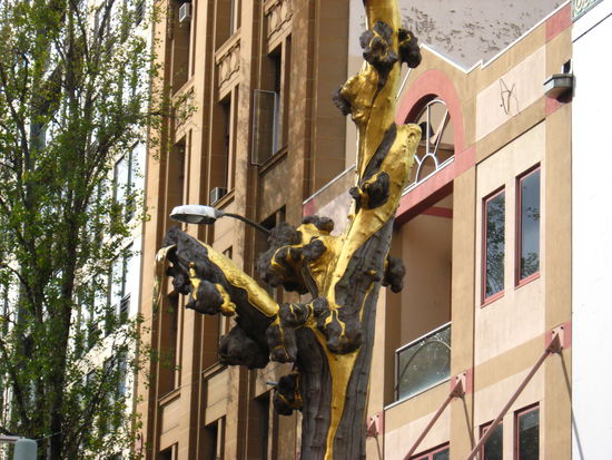 Und hier habe ich den Goldenen Baum gefunden in Sydney, toll ne, da hab ich mir erstmal nen Ast mitgenommen ...