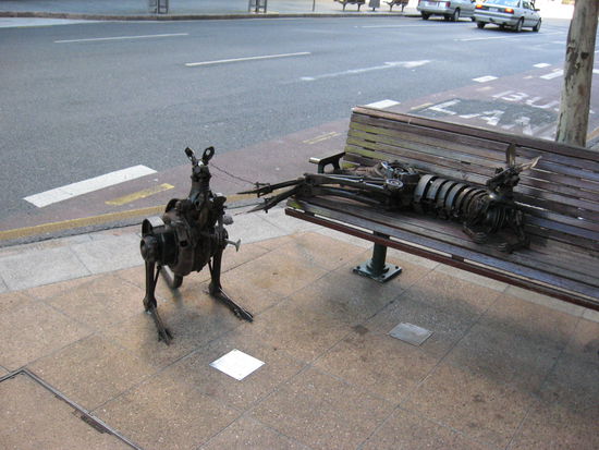 Ich hab Kaengurus gesehen ...