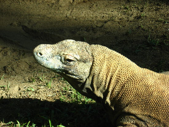 der hat mich angelaechelt 