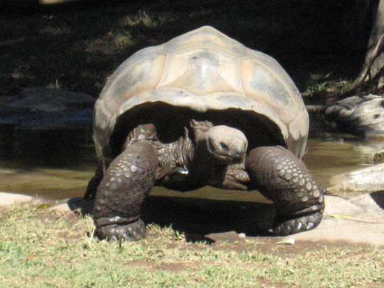 Na Anita ist Schilde auch schon so gross
