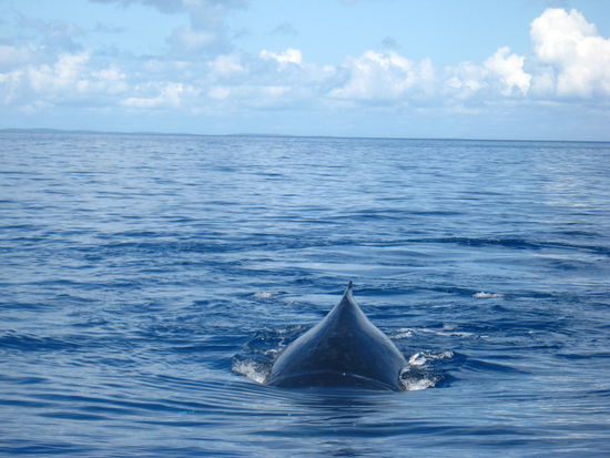 Bam..bam..bam..bam.
wer kommt denn da...