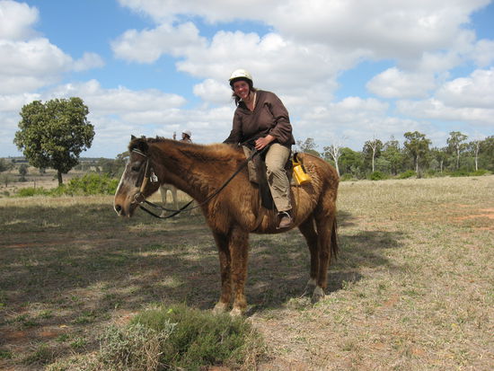 das ist shot gun, ein lieber alter haariger Gaul, mit dem bin ich am zweiten Tag geritten, der Name war aber leider nicht sehr passend...  mein kleines liebes Mamut, lief aber ganz gut...