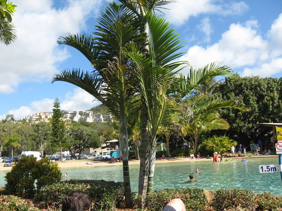 hier seht ihr die Lagune von Airlie Beach, ich der wir uns nen fetten Sonnenbrand geholt haben (mal wieder  )
