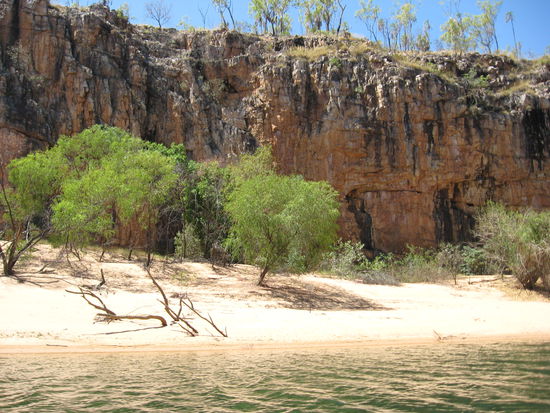 ...na seht ihr das Kroko????