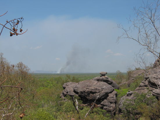seht ihr das Bushfire da hinten, da hatten wir abends vorher gegrillt 