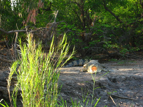 ...was fuer ein Bild!!!!