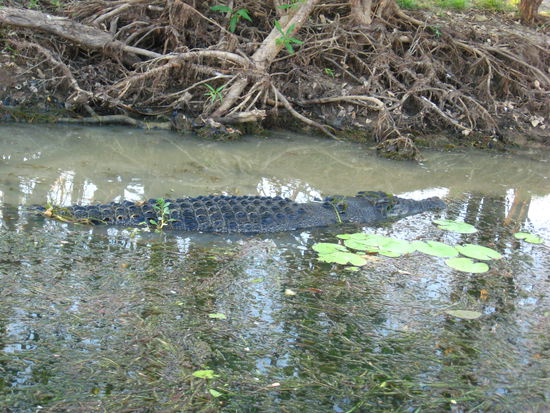 ...na wer hat sich denn hier versteckt??