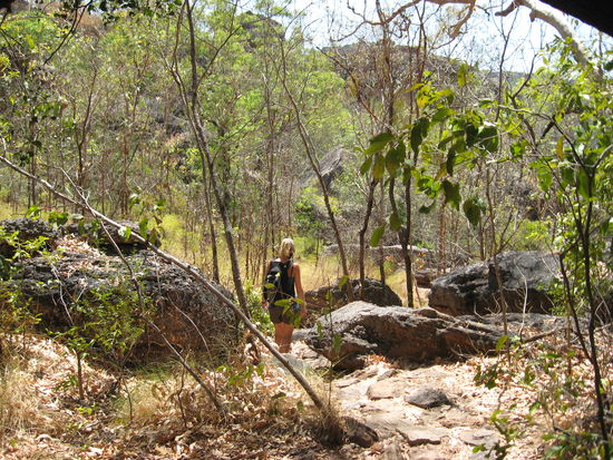 Auf dem Weg zu den Felsmalereien und was sagt man dazu: der Weg ist das Ziel...