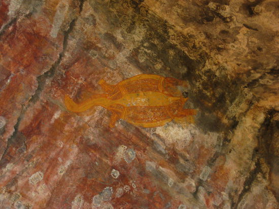 eine longneck schildkroete, die die Aborigenes mit Panzer im Feuer garen, dann den Panzer aufknacken und den gegarten Koerper rausholen, sah irgendwie eckelig aus...