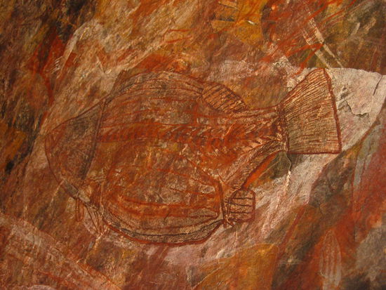 Ein fischi...., die Aborigenes zeichnen die Eingeweide immer mit.