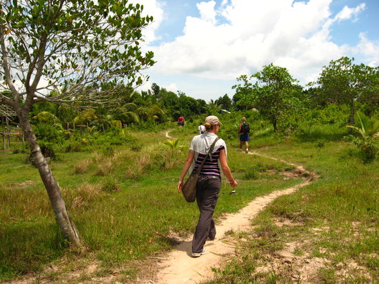 Trekking durch den Dschungel im Riem Nationalpark
