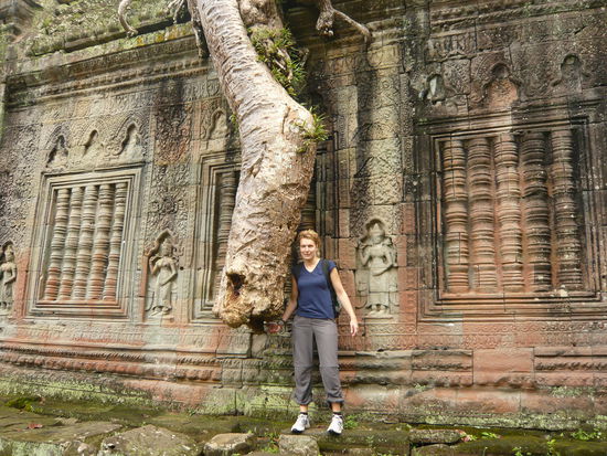 ...eine "kleine" Wurzel ueber der Erde 