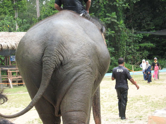 Wow was fuer ein ...