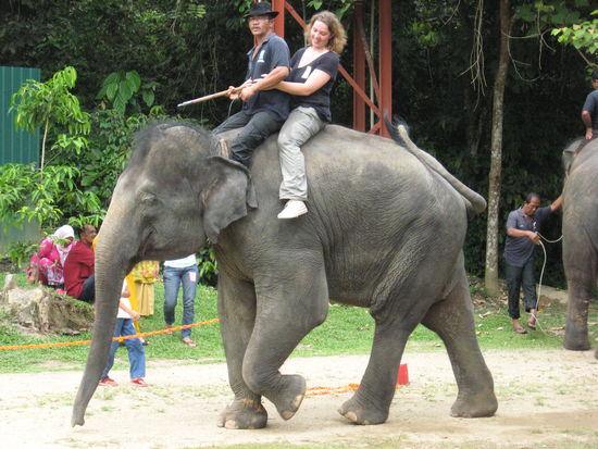 Das hat vielleicht gewackelt und dann hat der Typ auch noch den Turbogang eingelegt!
