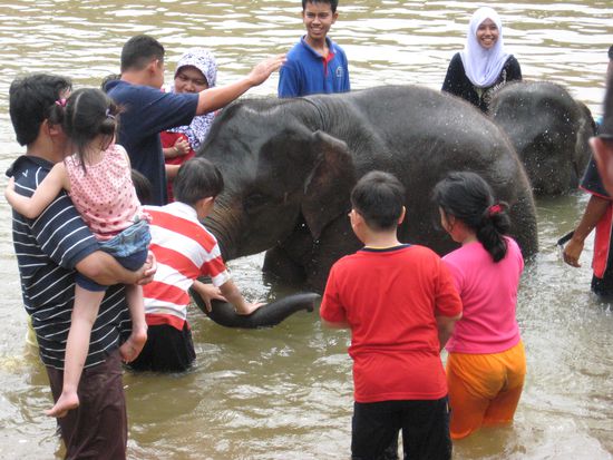 Alle hatten ihren Spass beim Elefantenbaden... (ich hoffe auch die Elefanten 