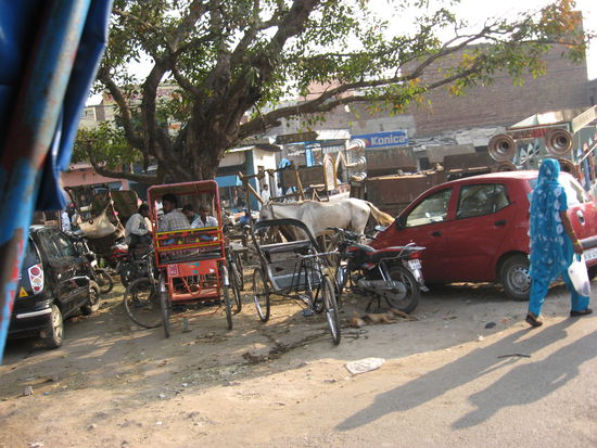 so sieht es auf den Strassen (wenn man es denn so nennen mag  Indiens aus, eigentlich sind die Inder sogar sehr sauber!! Morgens wird vor der Tuere gekehrt, so dass dann ueberall kleine Muellhaufen zwischen den Strassengeschaeften liegen, aber im Geschaeft und vor der Tuer ist es sauber 
Auch wird sich haeufig auf der Strasse gewaschen, ein grosser Tonkrug mit Wasser gefuellt und ein Fetzen von Tuch dienen den Indern als Badezimmer