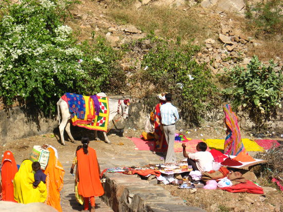 wir sind zunaechst zum Monkeytempel hinaufgestiegen, es war gerade wiedermal ein hinduistischer Festtag!!
