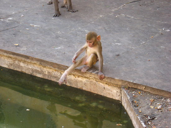 ist der nicht suess der Kleine 