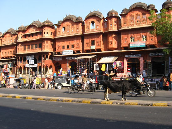 sieht doch suess aus, oder 