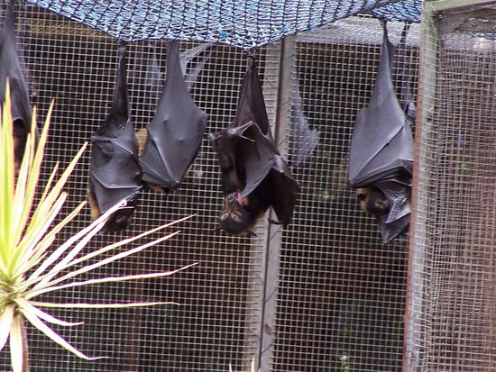 Sind die nicht suess 