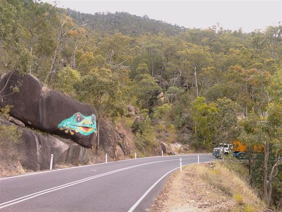 Im Regenwald gibt's auch Froesche!