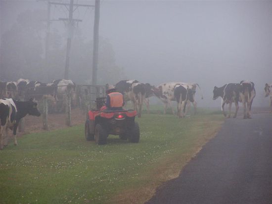 Unterwegs zu den Wasserfaellen werden wir durch den "Cowboy von heute" etwas ausgebremst - aber gleich geht's weiter!