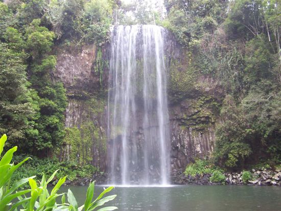 Einer der 3 Wasserfaelle bei Millaa Millaa.