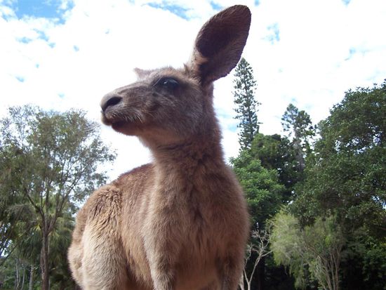 Ja wo wollen die denn so schnell hin? Ich bin doch noch nicht satt!