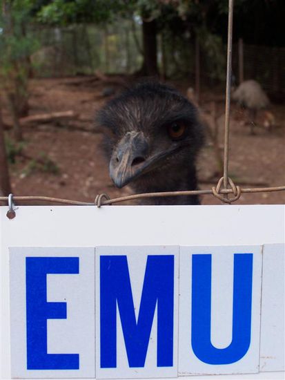 Vielen Dank fuer die aussagekraeftige Pose.
