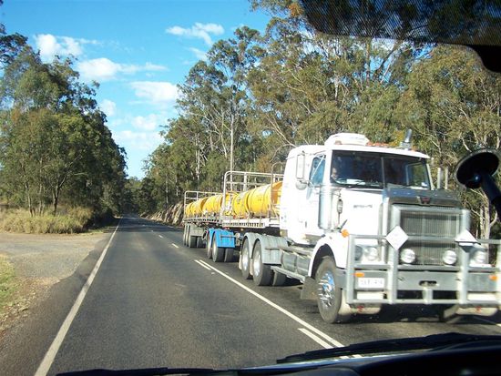 ... der passt gerade noch auf das Foto!