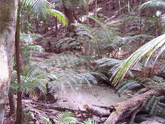 Der Fluss ist so glasklar, dass man das Wasser nicht mal sieht - oder ?