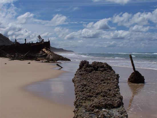 Das Maheno Schiffswrack - schon beeindruckend zu sehen.