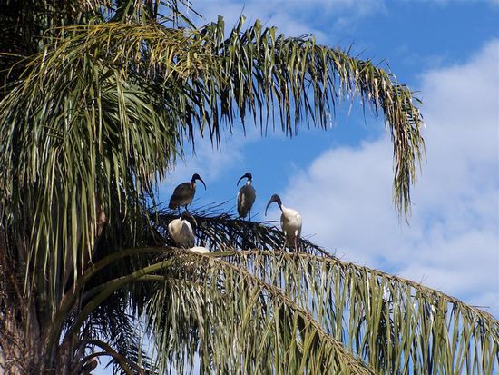 Hier wird fleissig gebruetet!