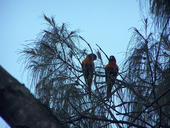 ... finden nicht nur wir romantisch.