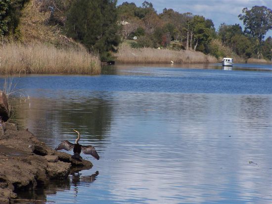Inzwischen kann man am Fluss auch etwas sehen. Sonnenbad nach dem Fruehstueck?
