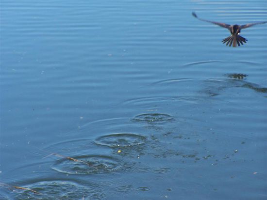 Ups - das war wohl zu dicht auf die Pelle gerueckt.