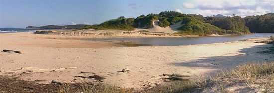 Hungry Heads - koennte was mit Krokodilen zu tun haben ...