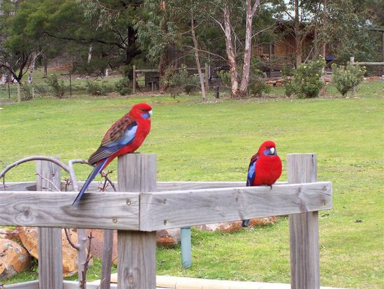 Tagsueber direkt vor unserer Huette.