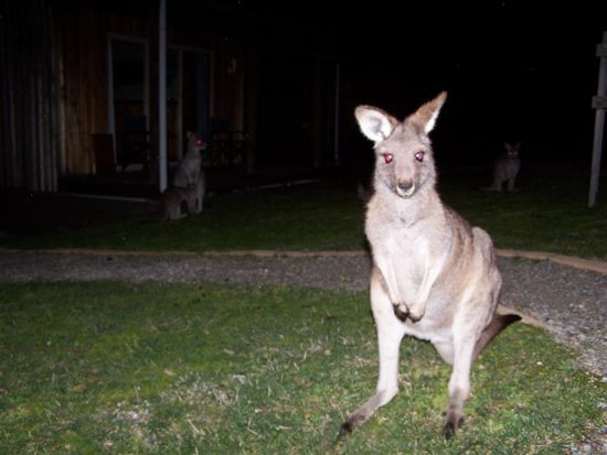 Nachts direkt vor unserer Huette!