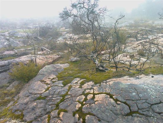 Man koennte glauben, dass gleich ein Flugsaurier oder wenigstens ein echter Drache hier landet.