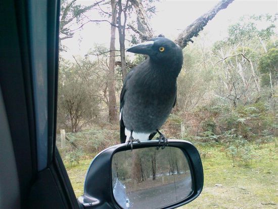 Ich will auch was abhaben!