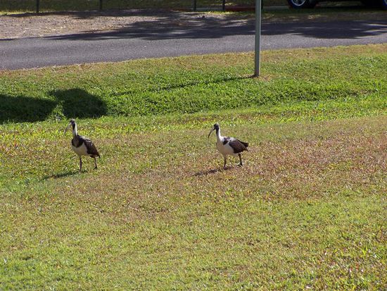 Endlich scheint die Sonne !!!
