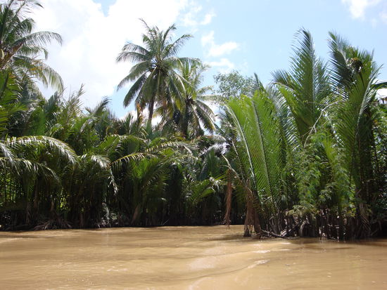 Seitenarm des Mekongs