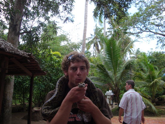 martins neuer freund